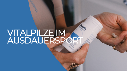 Vitalpilze im Ausdauersport: Steigere deine Leistung und beschleunige die Erholung auf natürliche Weise!